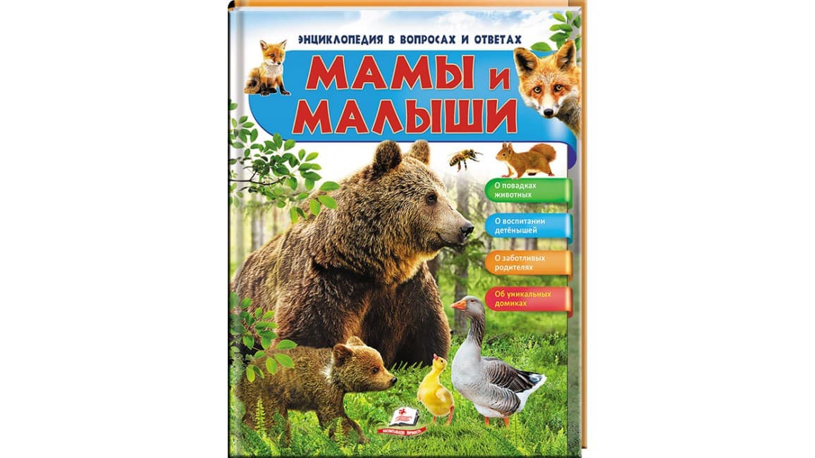 Пегас НФЕ Мами і малюки ВЕДМІДЬ УКР